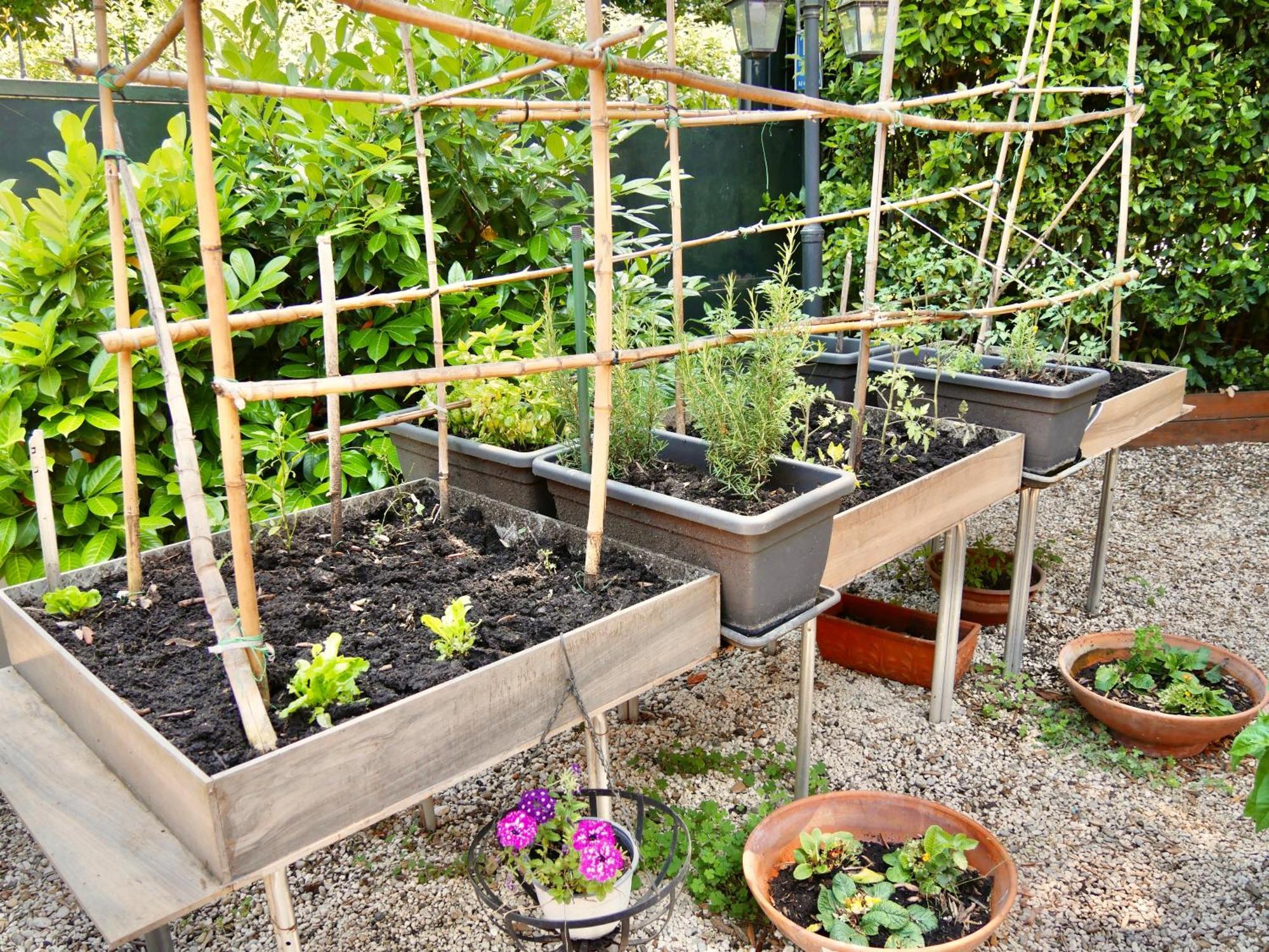 Bed and Breakfast L'antico Granaio Paliano Esterno foto