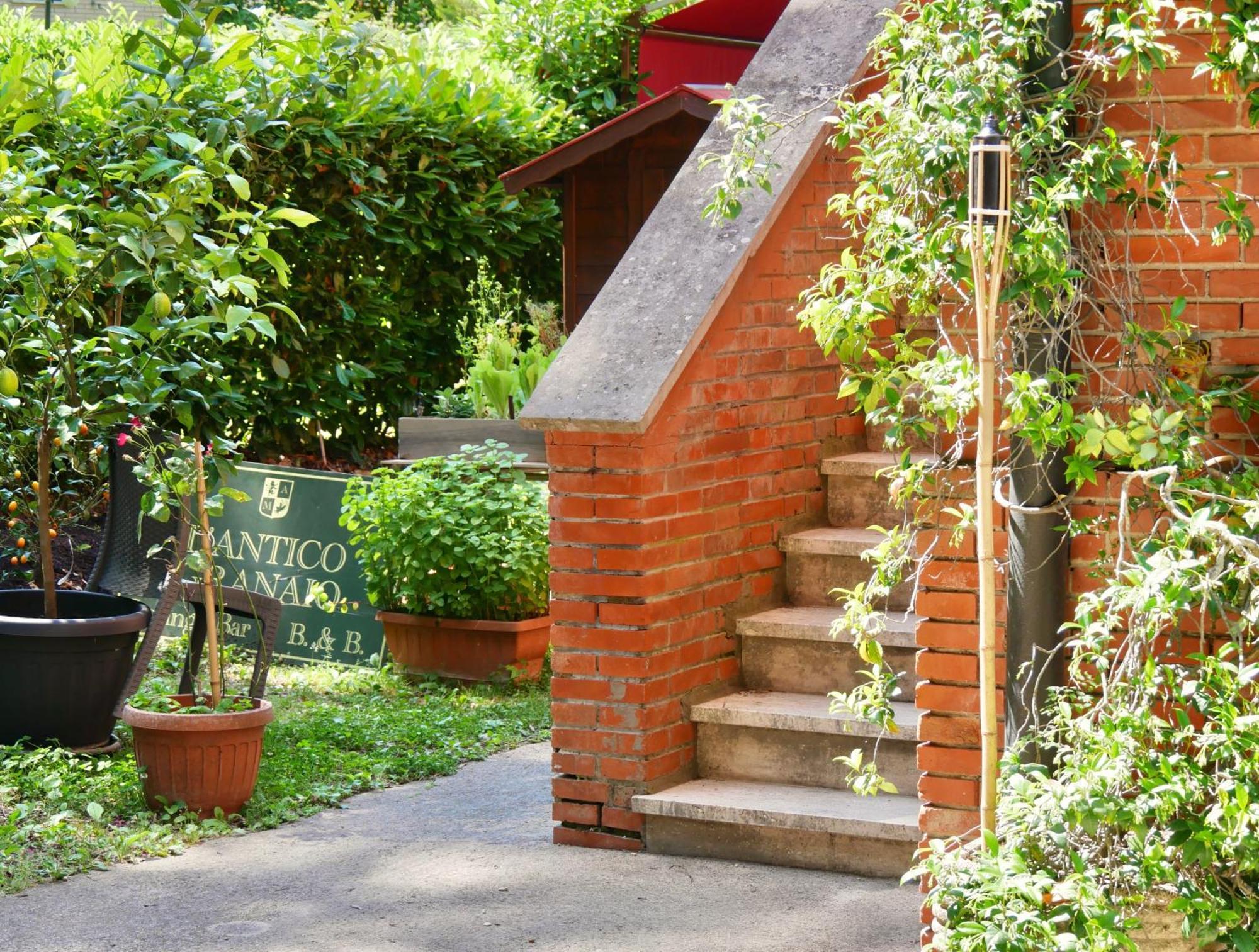 Bed and Breakfast L'antico Granaio Paliano Esterno foto
