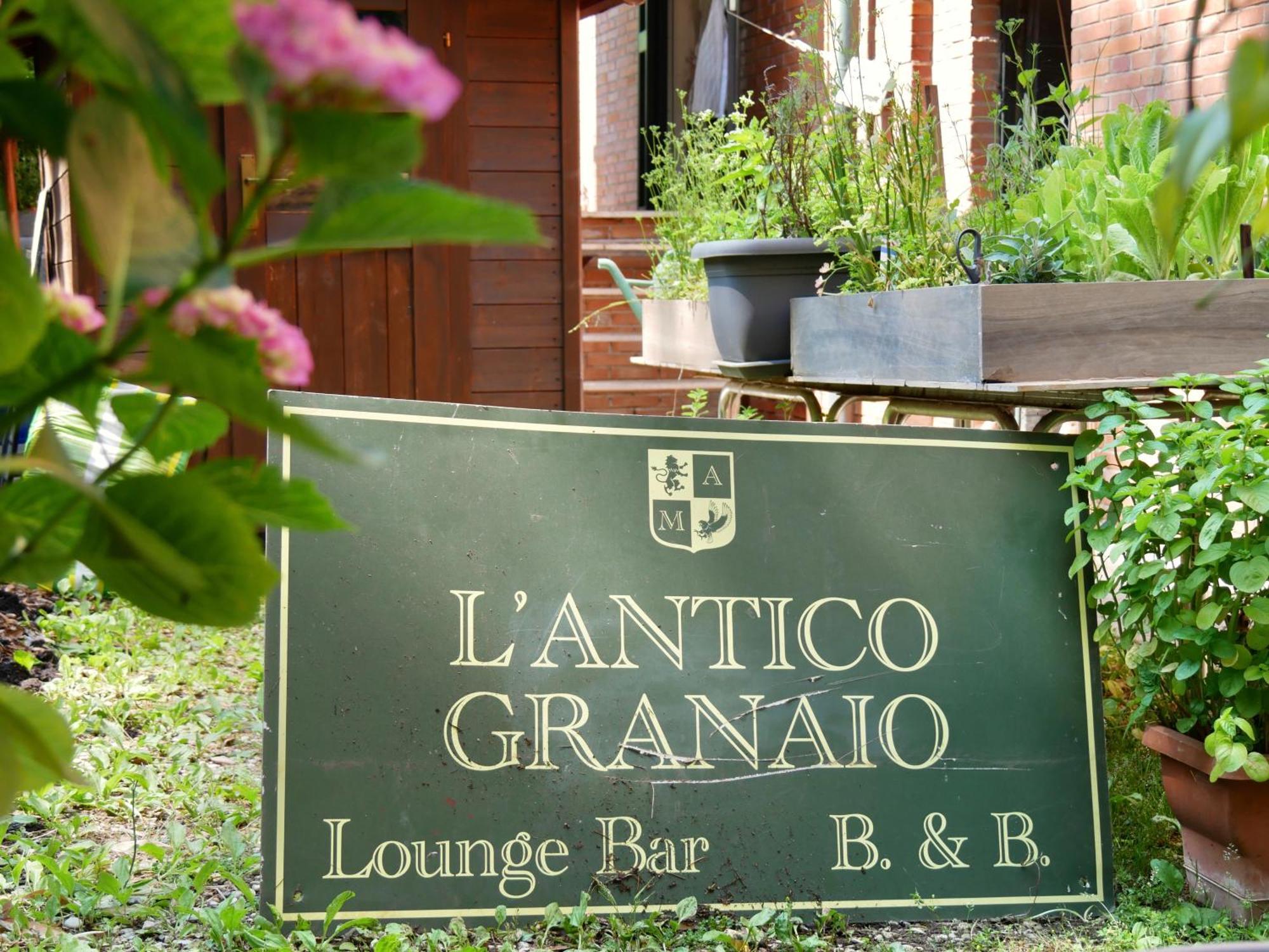 Bed and Breakfast L'antico Granaio Paliano Esterno foto