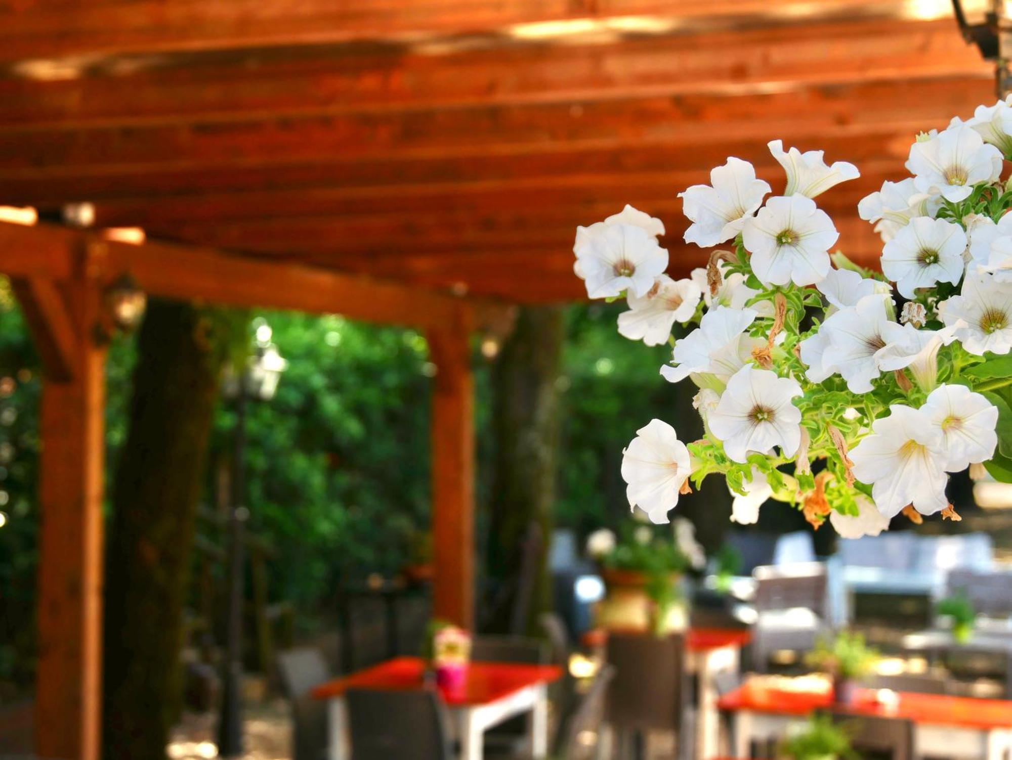 Bed and Breakfast L'antico Granaio Paliano Esterno foto