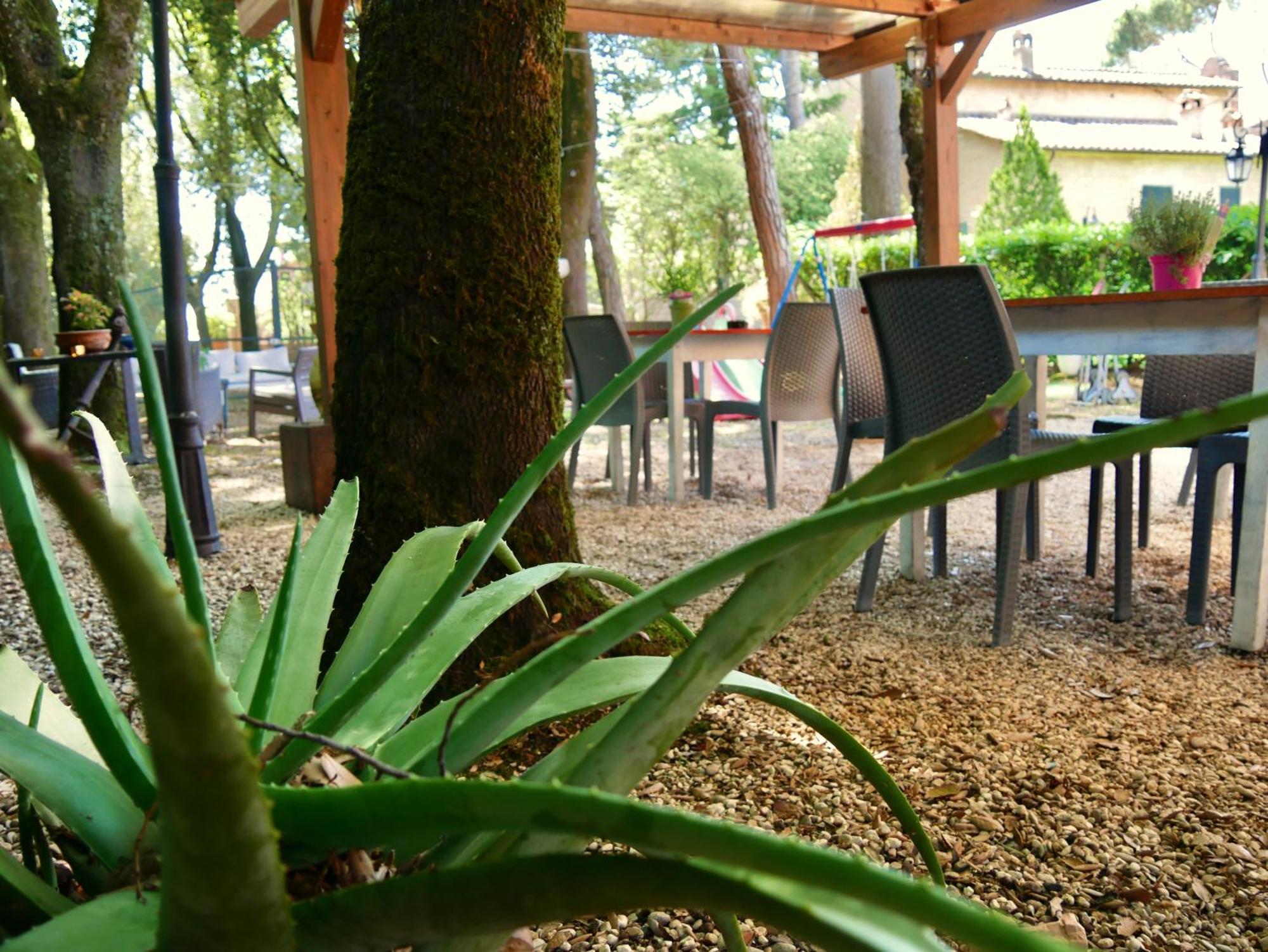 Bed and Breakfast L'antico Granaio Paliano Esterno foto
