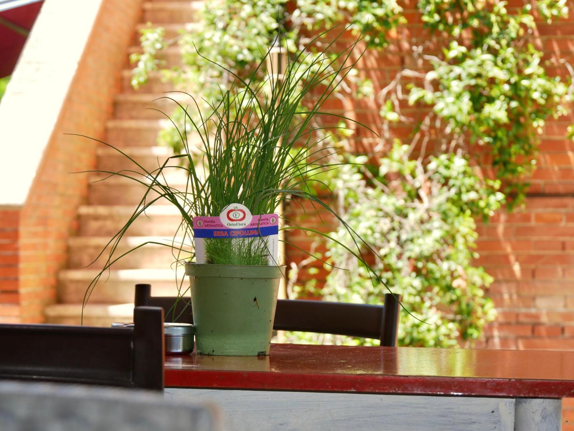 Bed and Breakfast L'antico Granaio Paliano Esterno foto