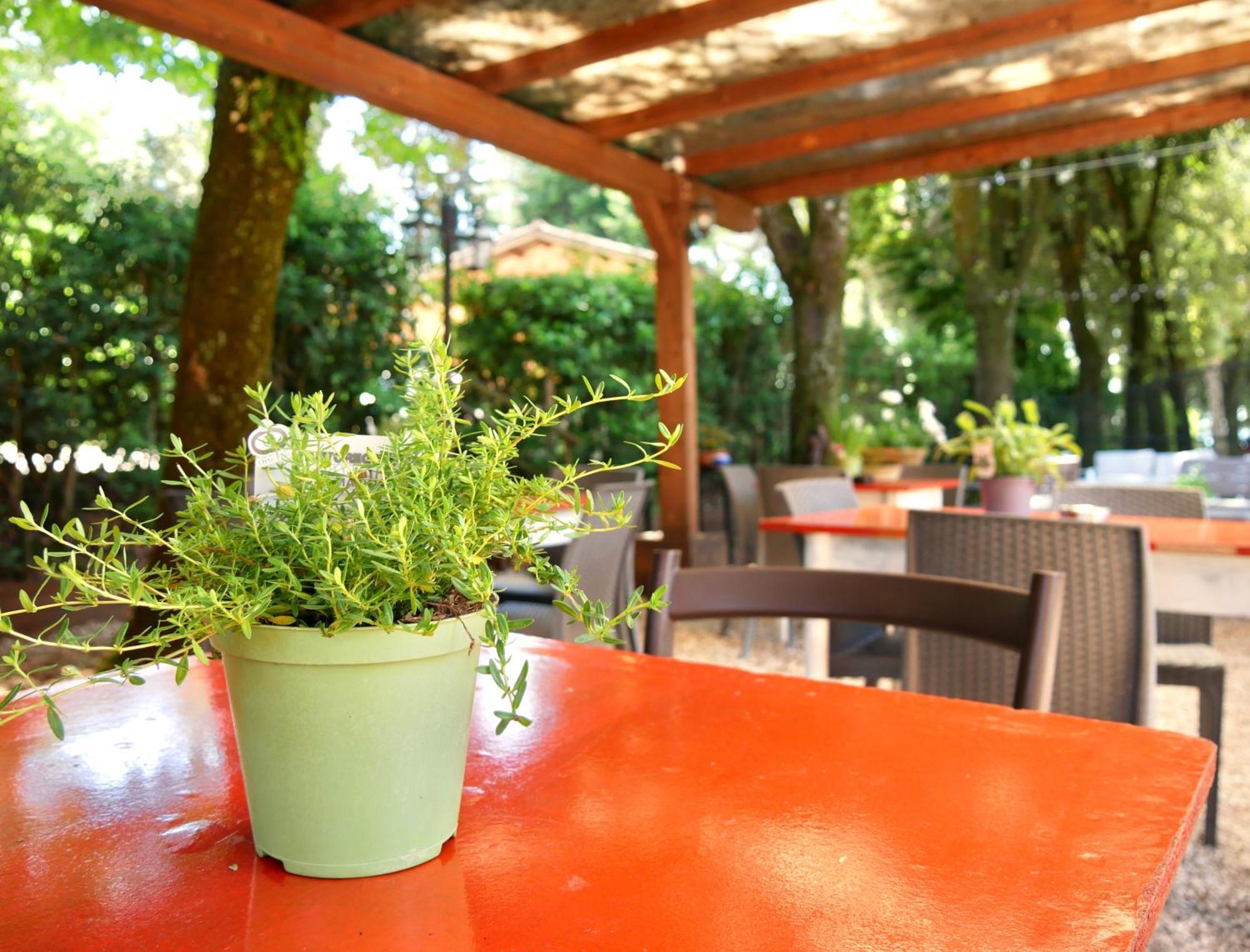 Bed and Breakfast L'antico Granaio Paliano Esterno foto