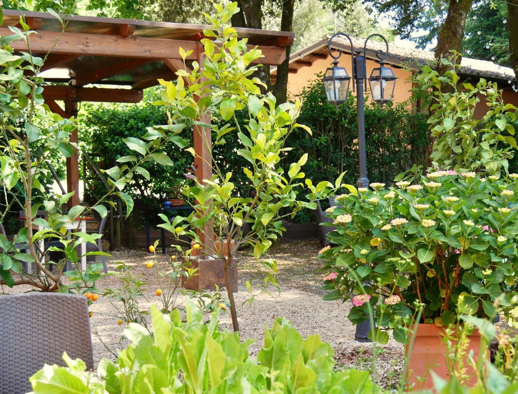 Bed and Breakfast L'antico Granaio Paliano Esterno foto