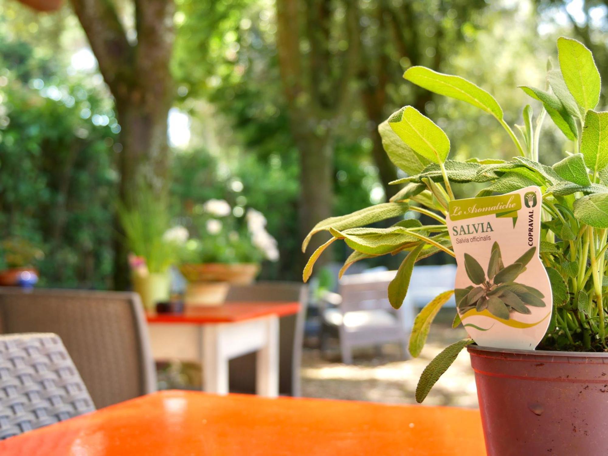 Bed and Breakfast L'antico Granaio Paliano Esterno foto