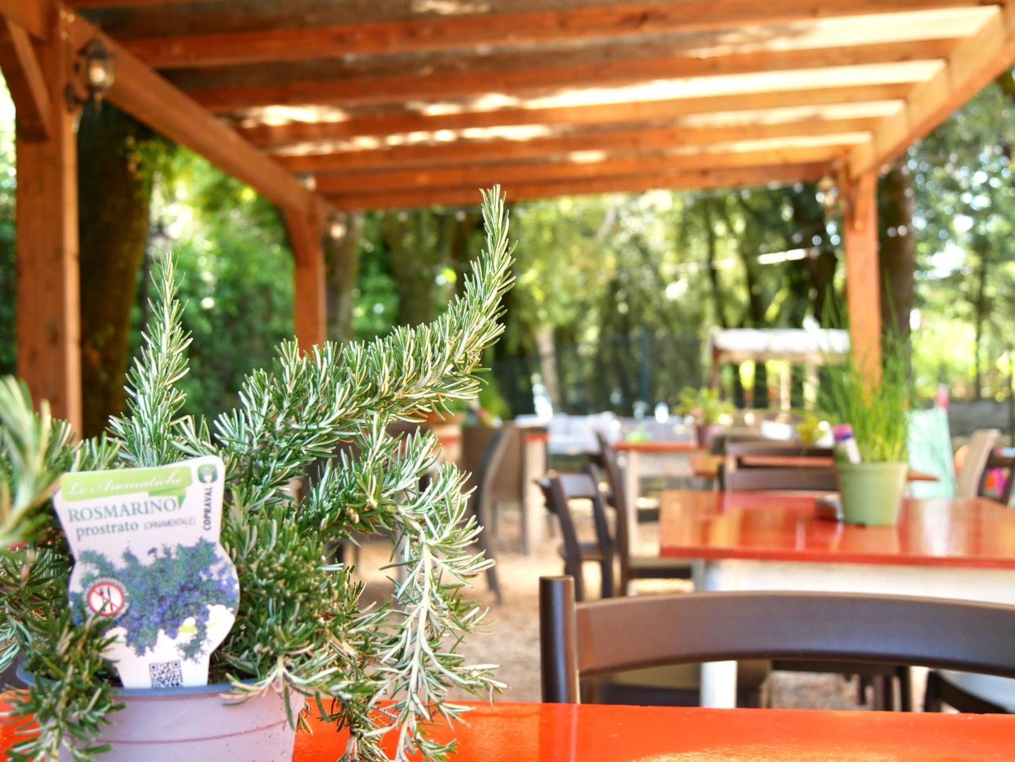 Bed and Breakfast L'antico Granaio Paliano Esterno foto